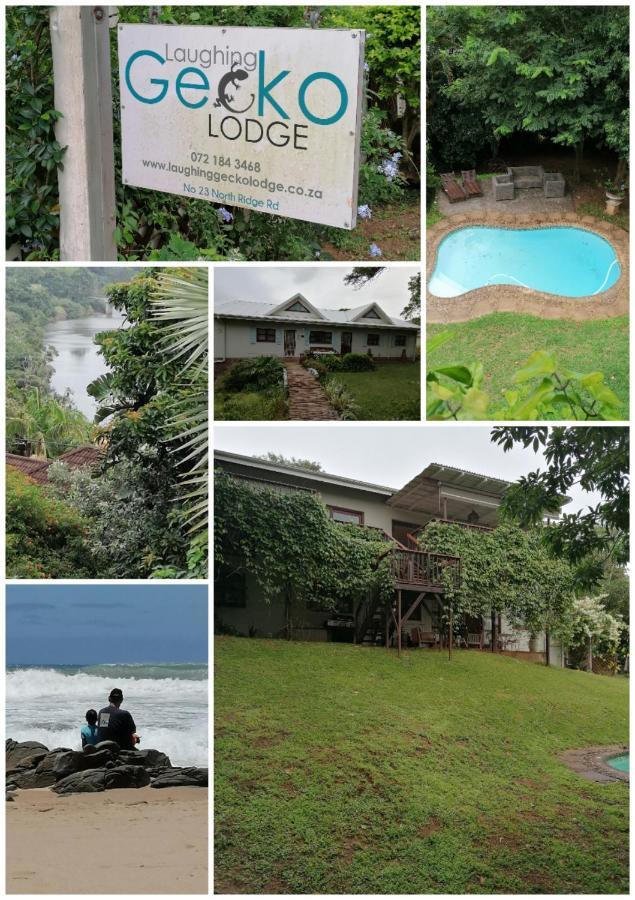 Laughing Gecko Lodge2 * Southbroom